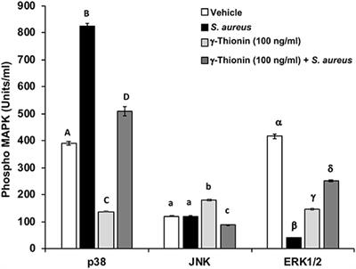 Plant Defensin γ-Thionin Induces MAPKs and Activates Histone Deacetylases in Bovine Mammary Epithelial Cells Infected With Staphylococcus aureus